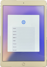 Load image into Gallery viewer, 10.2&quot; iPad (8th gen) Cellular (2020-2021)
